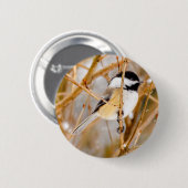 ブラックキャップ《鳥》アメリカゴガラ-オリジナル写真 缶バッジ (正面&裏面)