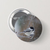 ブラックキャップ《鳥》アメリカゴガラ – ソンバード 缶バッジ (正面&裏面)