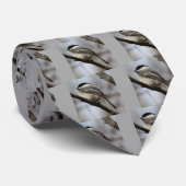 ブラックキャップ《鳥》アメリカゴガラ ネクタイ (ロール)