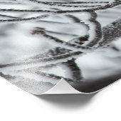 ブラックキャップ《鳥》アメリカゴガラ フォトプリント            (角)