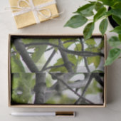 ブラックキャップ《鳥》アメリカゴガラ 薄葉紙 (ギフト)