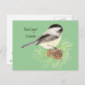 ブラックキャップ《鳥》アメリカゴガラ – 鳥 – 自然 ポストカード (正面/裏面)