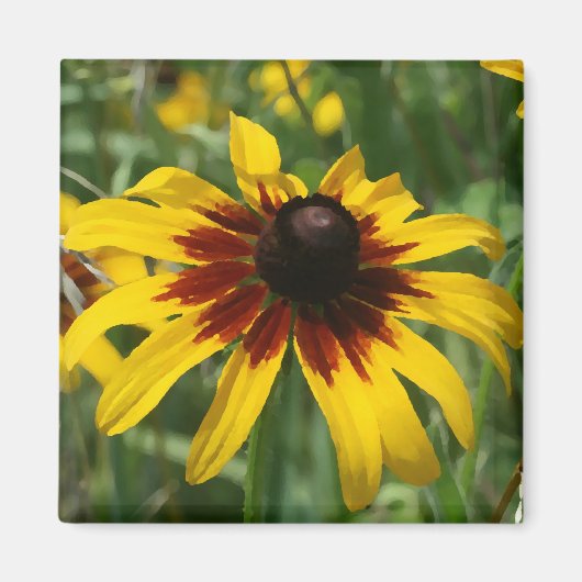 ブラックキー付きスーザン磁石 マグネット (正面)