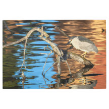 ブラッククラウンのナイトヘロンオンブランチ