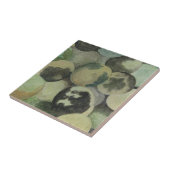 ブラッククルミ タイル (側面)