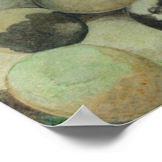 ブラッククルミ ポスター (角)