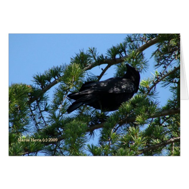 ブラッククロウ(1a) – カスタマイズ可能 (正面横)