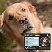 ブラックグモダンリーンドッグIDラベル:シンプルとスタイリッシュ バッジ