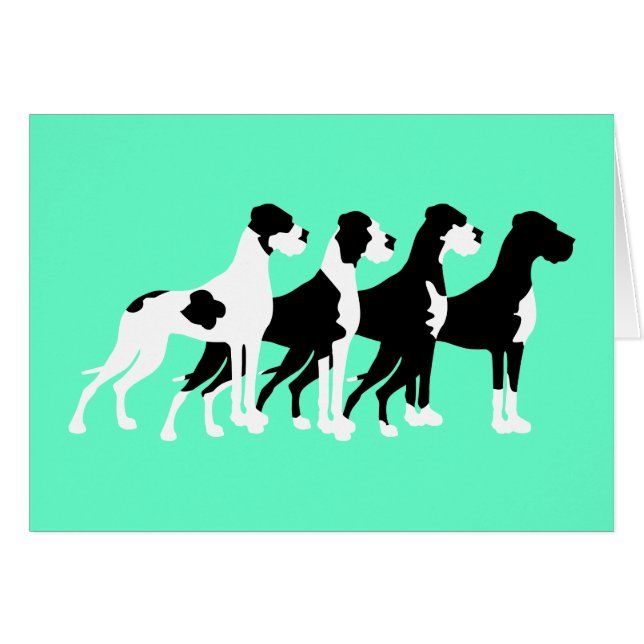 ブラックグレートダネス (正面横)