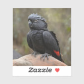 ブラックコッカトゥー シール (シート)