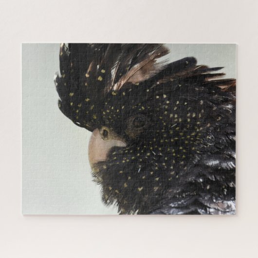 ブラックコッカトゥー ジグソーパズル (横)