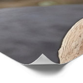 ブラックコッカトゥー ポスター (角)