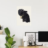 ブラックコッカトバイアエルトシューマンヴィンテージ ポスター (ホームオフィス)