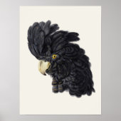 ブラックコッカトバイアエルトシューマンヴィンテージ ポスター (正面)