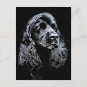 ブラックコッカースパニエル犬 ポストカード