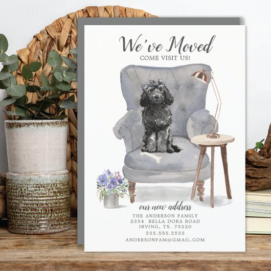 ブラックコックポーの動きのお知らせ 案内状