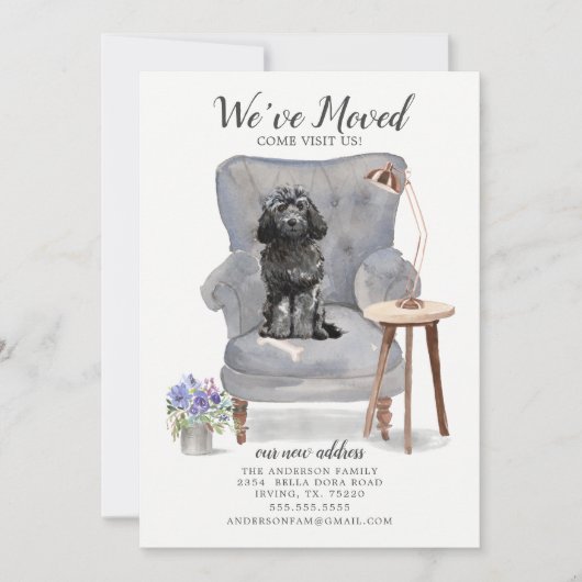 ブラックコックポーの動きのお知らせ 案内状 (正面)