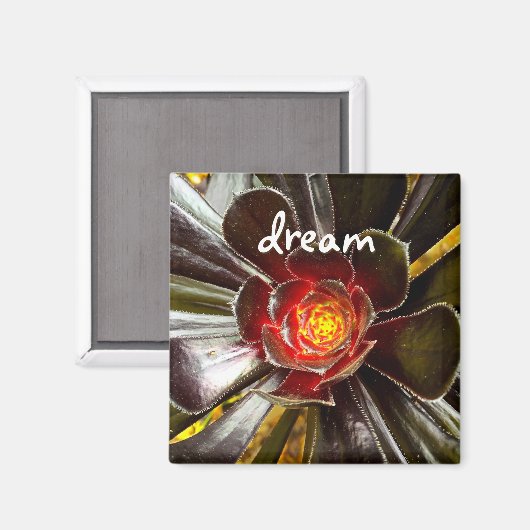 ブラックサボットフォトドリーム引用文スクリプモダント マグネット (正面/裏面)