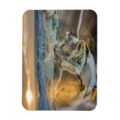 ブラックサンドビーチ | Jokulsarlon South Iceland マグネット (縦)