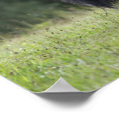 ブラックシェトランドポニースタリオン歩く ポスター (角)