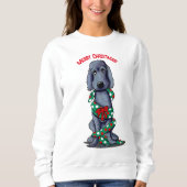 ブラックシェードゴールデンドールプラスサイズスウェットシャツ スウェットシャツ (正面)