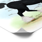 ブラックシャーホース教育解剖図 ポスター (角)