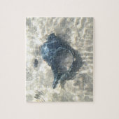 ブラックシーシェル ジグソーパズル (縦)