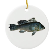 ブラックシーバス