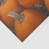 ブラックシープオータムカボチャパッチデコップページ 薄葉紙 (詳細)