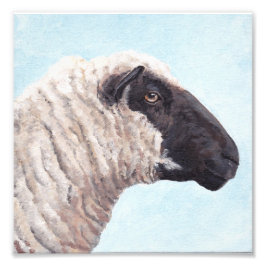 ブラックシープ顔IIフォトプリント フォトプリント           