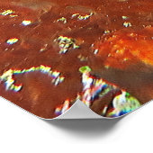 ブラックジャイアントフロッグフィッシュ ポスター (角)