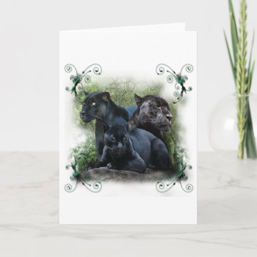 ブラックジャガー シーズンカード (正面)