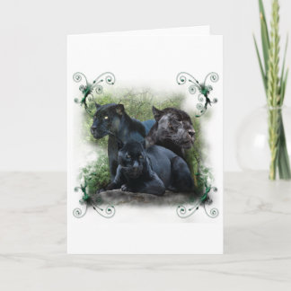 ブラックジャガー シーズンカード