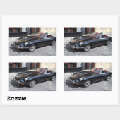 ブラックジャガーE型 長方形シール (シート)