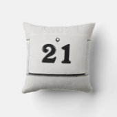 ブラックジャック21 クッション (裏面)