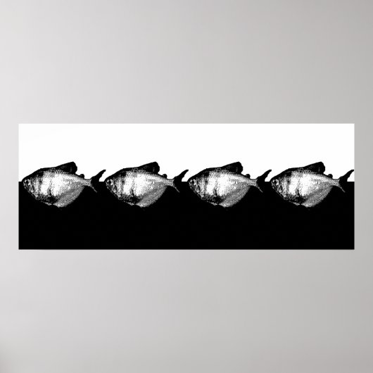 ブラックスカートテトラスクール ポスター (正面)