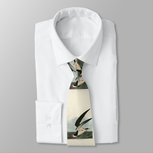 ブラックスキマー、シャールウォーター・オードボンバード・オブ・アメリカ ネクタイ (タイ)