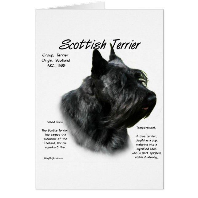 ブラックスコティの歴史 (正面)