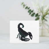 ブラックスコーピオン ポストカード (スタンド正面)