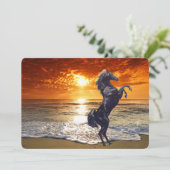 ブラックスタリオンホースオンザビーチ シーズンカード (スタンド正面)