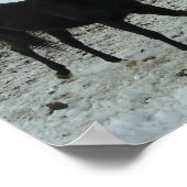 ブラックスタリオンホース ポスター (角)