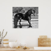 ブラックスタリオンホース ポスター (キッチン)