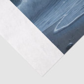 ブラックスタリオンムーンライト 薄葉紙 (詳細)