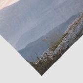 ブラックスタリオンワイルドホースマウンテントップデコップページ 薄葉紙 (詳細)