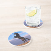 ブラックスタリオン コースター (側面)