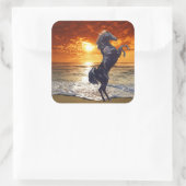 ブラックスタリオン スクエアシール (バッグ)