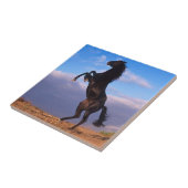 ブラックスタリオン タイル (側面)