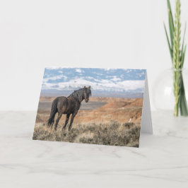 「ブラックスタリオン」ノートカード カード