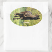 ブラックスタリオン 楕円形シール (バッグ)