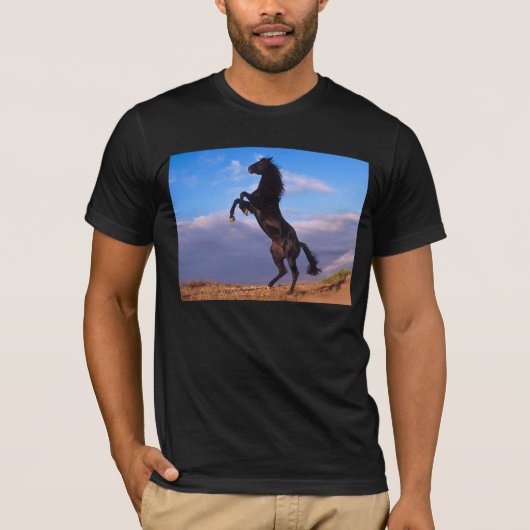 ブラックスタリオンTシャツ Tシャツ (正面)